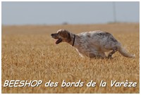 TR. Beeshop des bords de la varèze