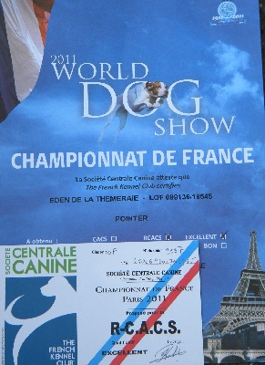 Jean Michel Lanne - World Dog Show Paris 11