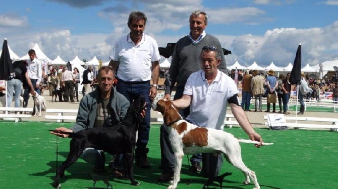 Jean Michel Lanne - Exposition Game Fair 16