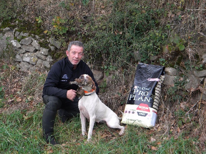 Jean Michel Lanne - Bécasse 2015