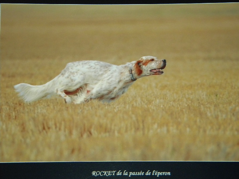 CH. Rocket de la passee de l eperon