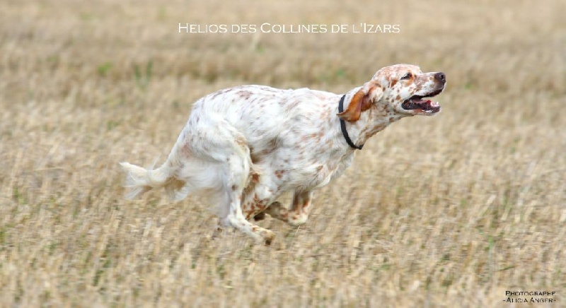TR. Helios des collines de l'Izars